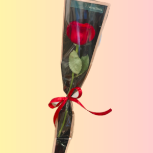 Single Red Rose Bouquet