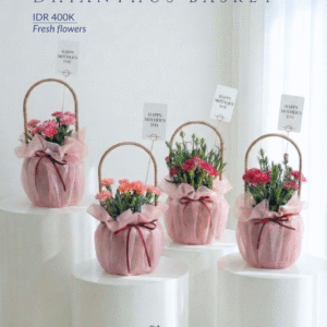 Dianthus Basket (Fresh)