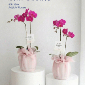 Mini Orchid (Artifical)