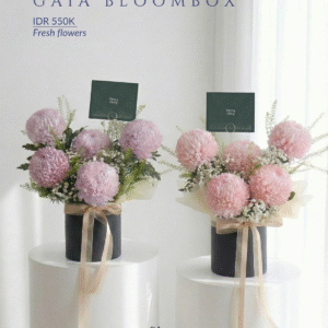 Gaia Bloombox (Fresh)